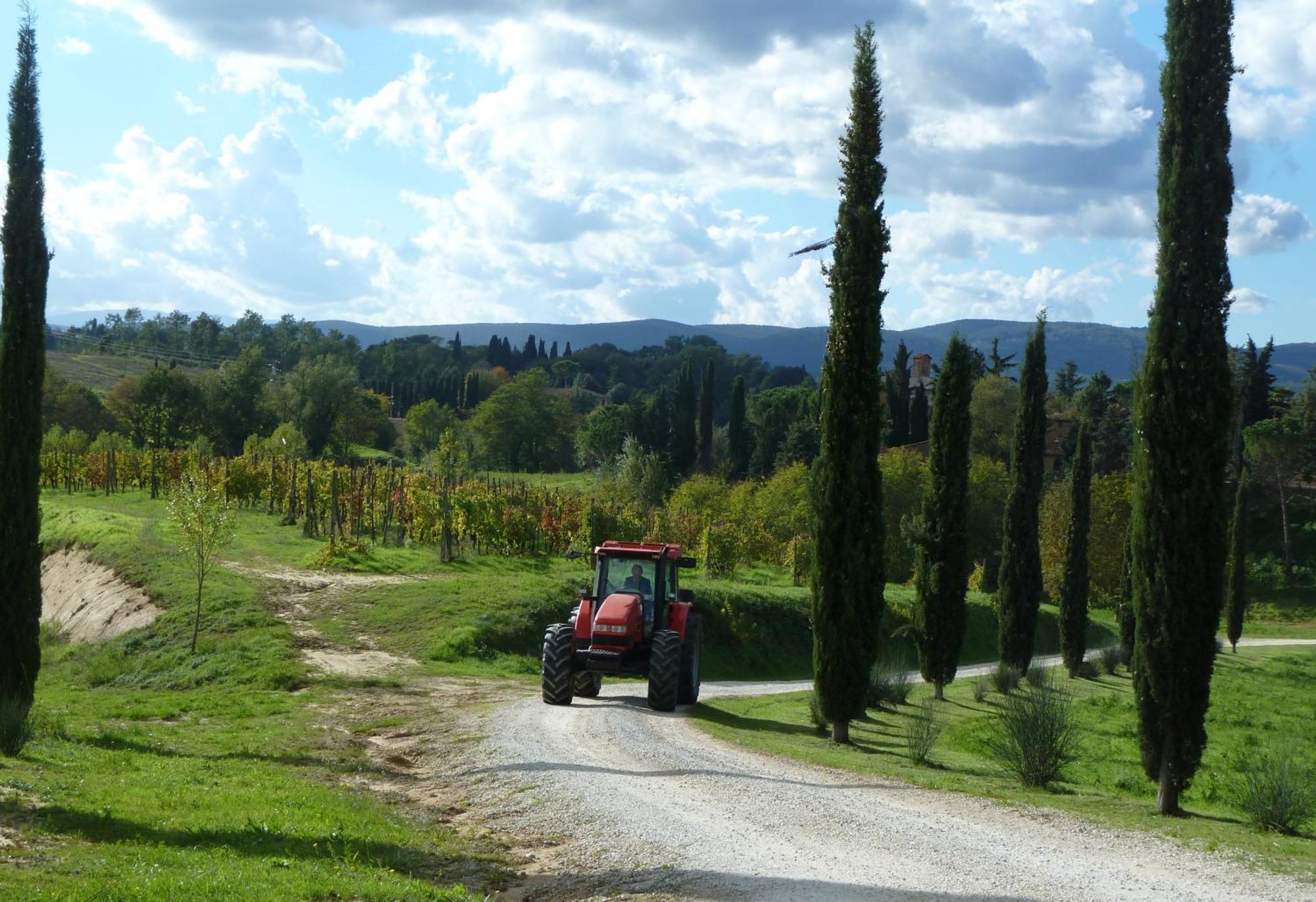 Agriturismo La Grotta Di Montecchino เซียนา ภายนอก รูปภาพ